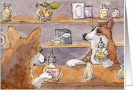 corgi, perfumery, blank card, dog, card