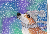 corgi, snowing, blank card, dog, card