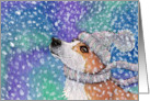 corgi, snowing, blank card, dog, card