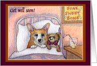 corgi, get well soon...