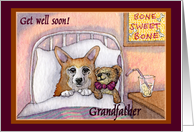 corgi, get well soon...