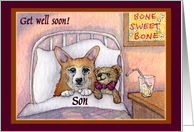 corgi, get well soon son, dog, teddy bear card