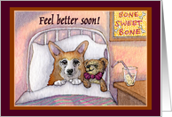 corgi, feel better soon, dog, teddy bear, card