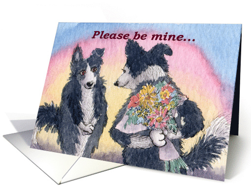 Border Collie, dog, flowers, please be mine, valentine, card (752172)