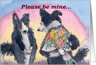 Border Collie, dog, flowers, please be mine, valentine, card