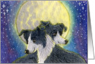 Border Collie, dog, moon, blank card, card