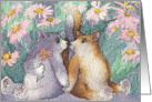 Cats, flowers, blank card, card