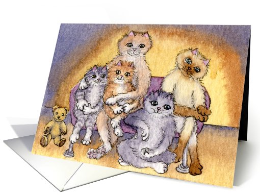 cat, kitten, family photo, blank card, card (764324)