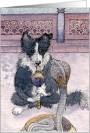 border collie, dog, snake charmer, blank card, card