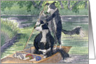 border collie, dog, messing about on the river, blank card, card