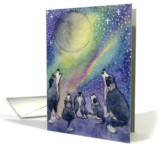 border collie, dog, howling at moon, blank card, card (765998)