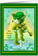 corgi leprechaun wish - may the luck of the Irish be with you card