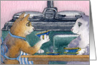Kitchen cats drinking tea card