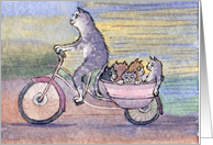 Cat carriage card