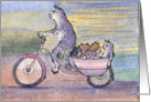 Cat carriage card