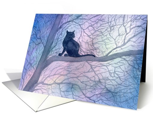A cat enjoying quiet time in the evening card (799607)
