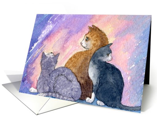 Cats posing card (799610)