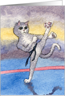 Karate cat ready for...