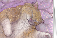 Cat asleep card