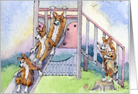 Welsh Corgi pups playing on a slide card