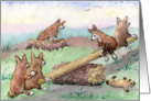Welsh Corgi pups playing on a seesaw card