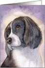 Springer spaniel card