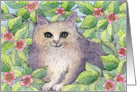 Cat in the blossom tree card