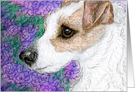 Jack Russell terrier couldn’t remember where he’d buried it card