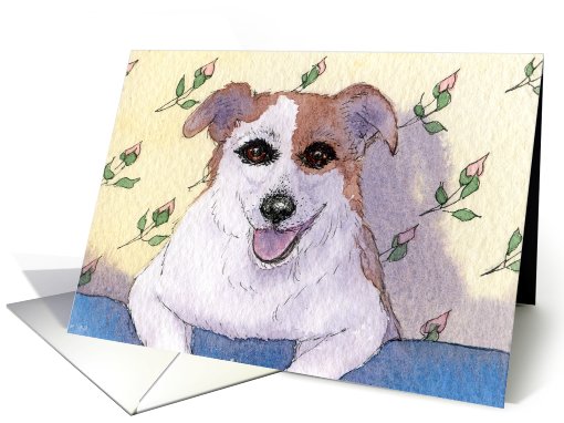 Jack Russell Terrier on the back of her new sofa card (827360)