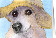 Corgi dog in beach hat card
