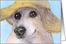 Corgi dog in beach hat card