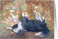 Border Collie dog rolling in autumn leaves card