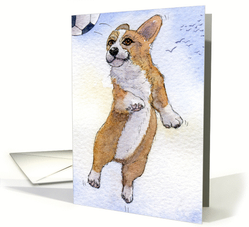 Corgi dog heading football and scoring!!! card (893720)