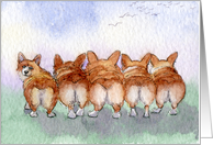 Five Corgi dogs go for a walk card