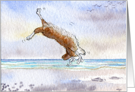Corgi dog somersaulting on the beach card