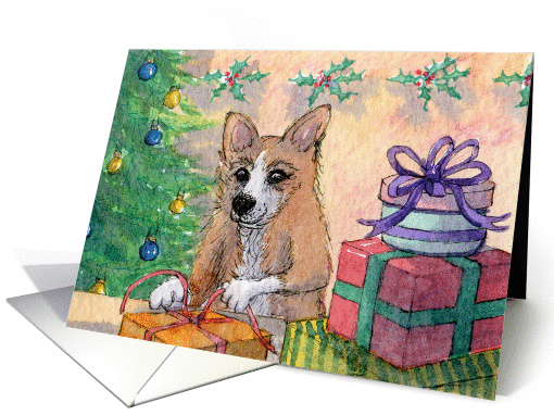 Corgi dog getting Christmas wrapped up early card (894021)