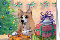 Corgi dog getting Christmas wrapped up early card