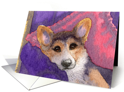 Relaxing tricolor corgi dog card (894024)