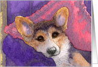 Relaxing tricolor corgi dog card