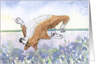 The Corgi Games, high jump, corgi, dog, card