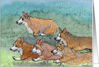 The Corgi Games, marathon, corgi, dog, card