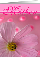 Mother’s Day Pink Daisy n Dots card
