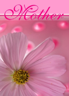 Mother's Day Pink...