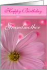 Happy Birthday Grandmother card