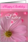 Happy Birthday Sister card