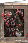 cat ’n’ cardinal card