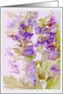 monkshood watercolor card