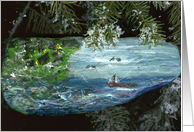 evergreen sailboat card