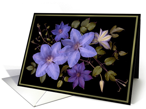 blue clematis card (125023)
