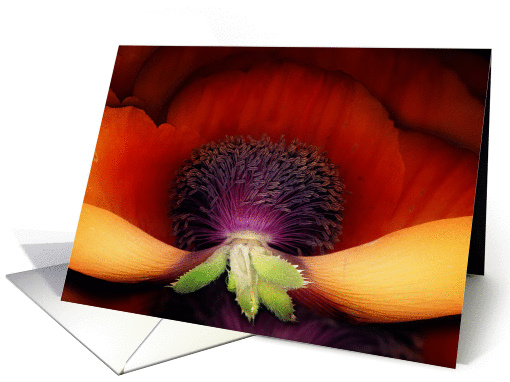 tribute to georgia no. 3 card (125248)